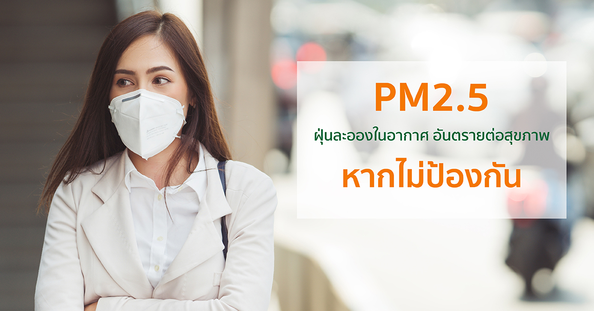 ฝุ่นละออง, PM2.5
